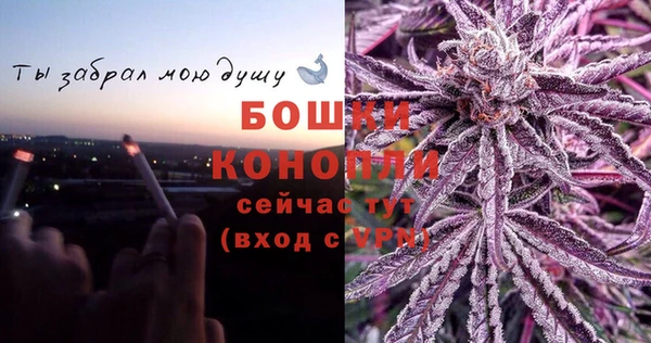 индика Богородицк